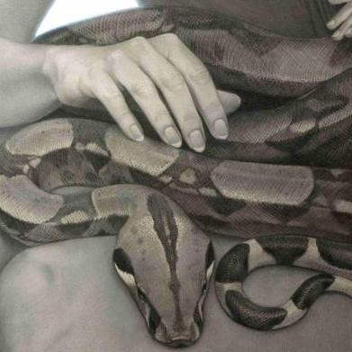 "Snake" by Anastasia Kuznetsova-Ruf – The Vilbil: Your Flagship Immersive Showroom