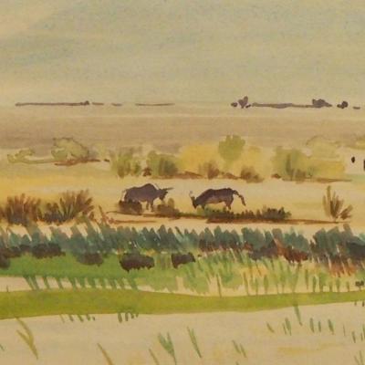 "Bulls in the Camargue" by Fabienne Blanc – The Vilbil: Your Flagship Immersive Showroom